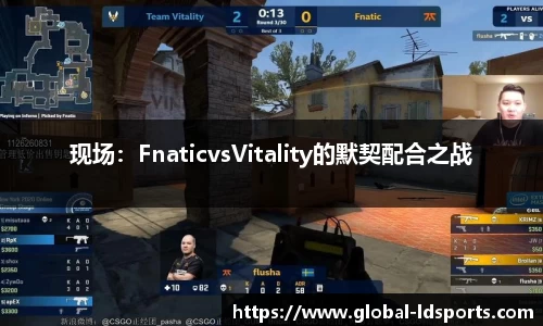 现场：FnaticvsVitality的默契配合之战